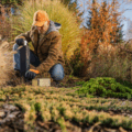 What Do Landscapers Do?