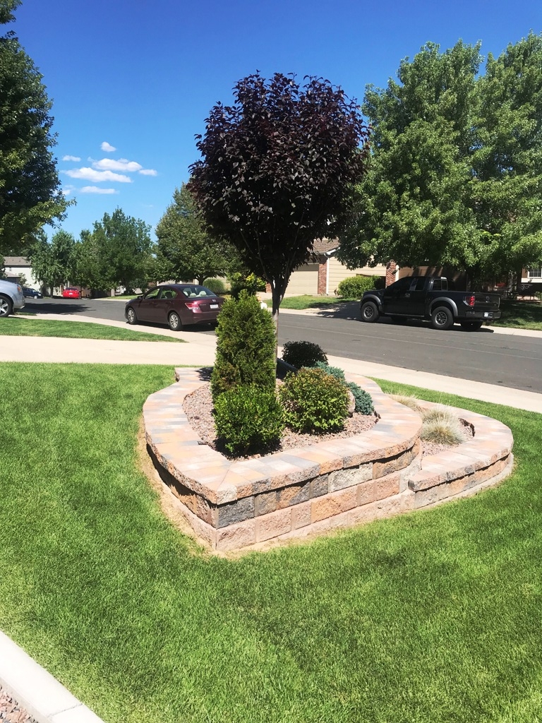 Brady Landscaping & Construction Services