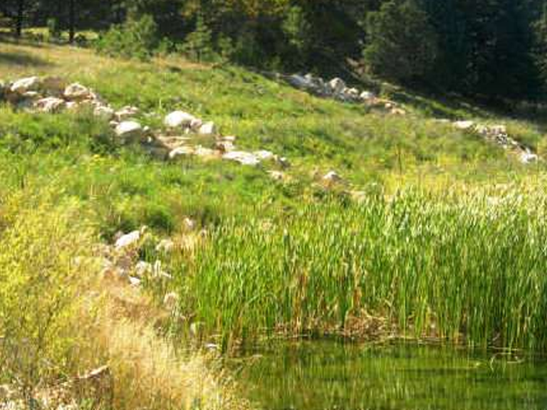 Land reclamation 6