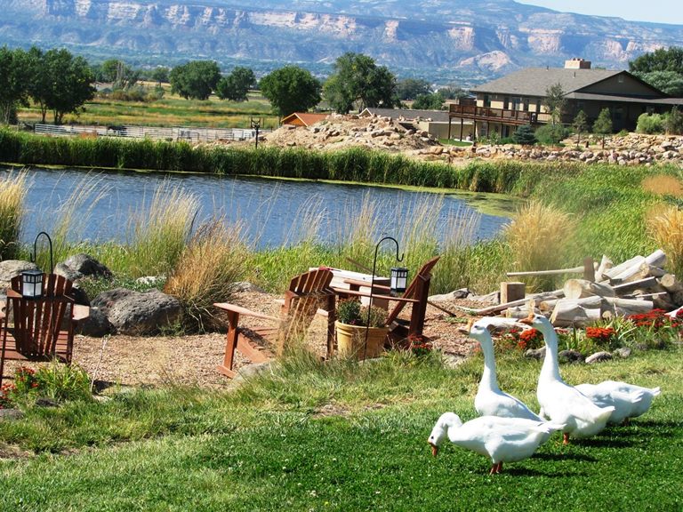 Landscape design