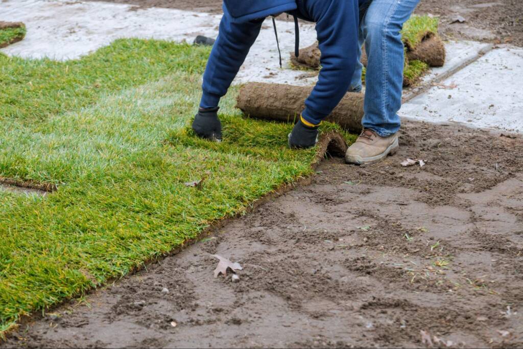 A landscaping worker lays rolled green sod, installing turf for a new lawn.