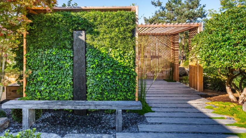 Japanese-inspired landscaping design with conifers, a slate path bordered by bark mulch and native plants creating a calm, natural atmosphere.