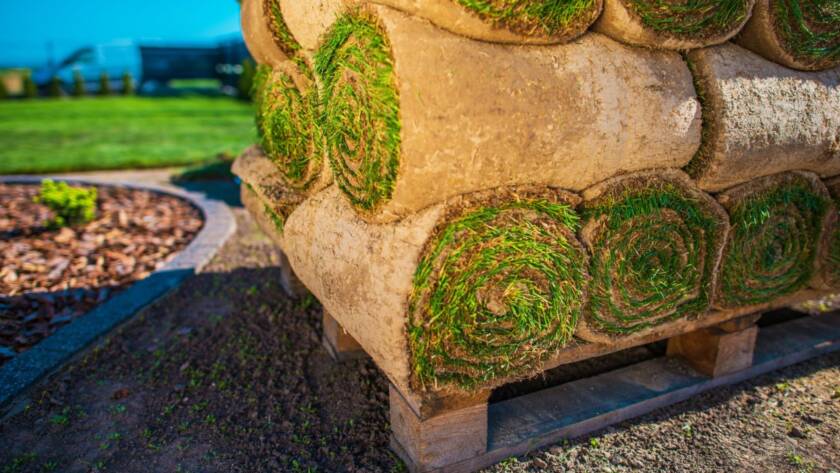 Stack of rolled sod ready for lawn installation.