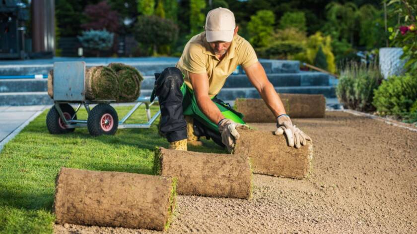 Landscape worker positions the sod rolls for backyard installation.