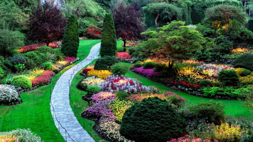 Landscape design with a vibrant garden featuring colorful flowers, lush trees, and harmonious outdoor planting