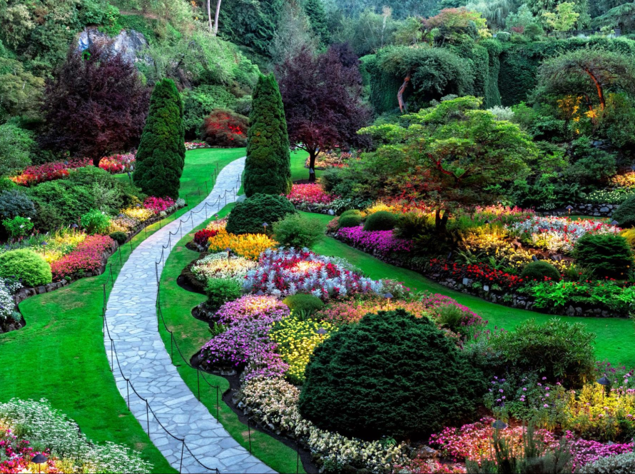 Landscape design with a vibrant garden featuring colorful flowers, lush trees, and harmonious outdoor planting