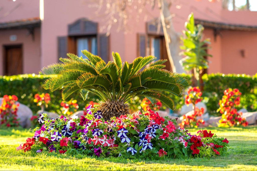 Close-up of a garden showcasing a palm tree surrounded by vibrant flowers and fresh grass
