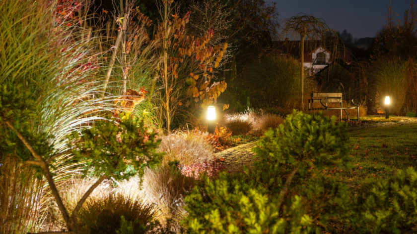 A backyard with a softly lit garden path.