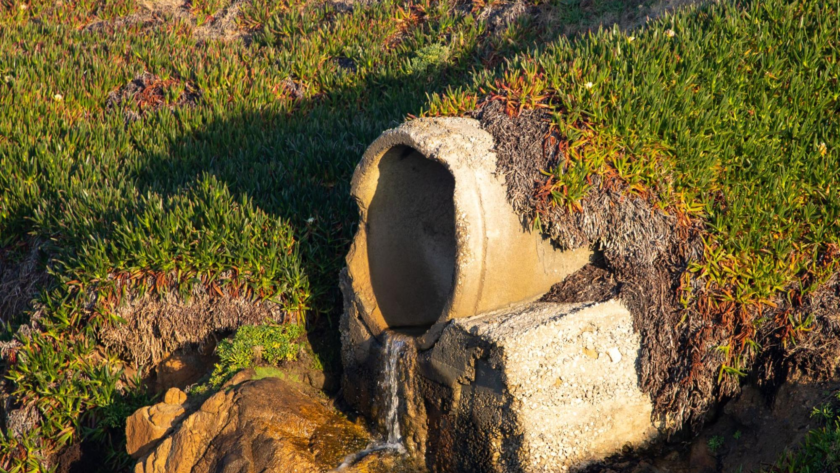 A culvert-style pipe directing surface runoff into a natural drainage area